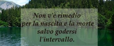 FRASE VITA 1