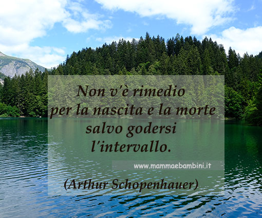 Frase del giorno 16.11 1 FRASE VITA 1