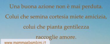 frase amore