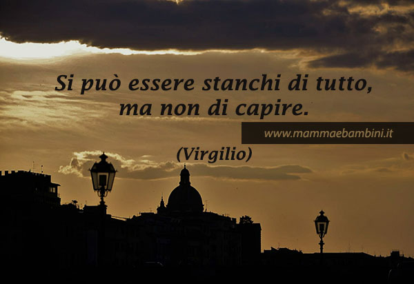 Frase del giorno 25.11 1 frase capire