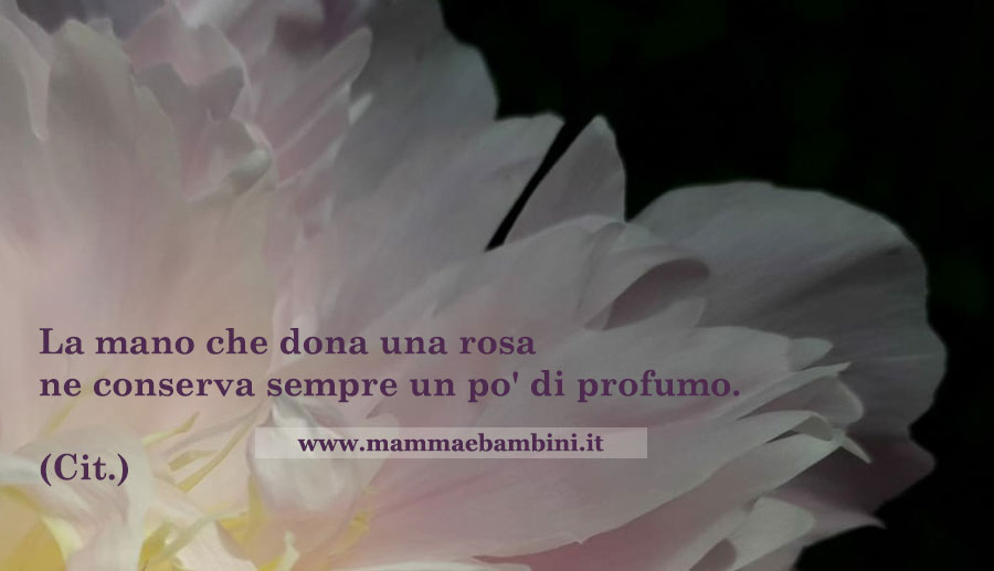 Le frasi piu' belle 2 frase donare