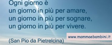 frase vita