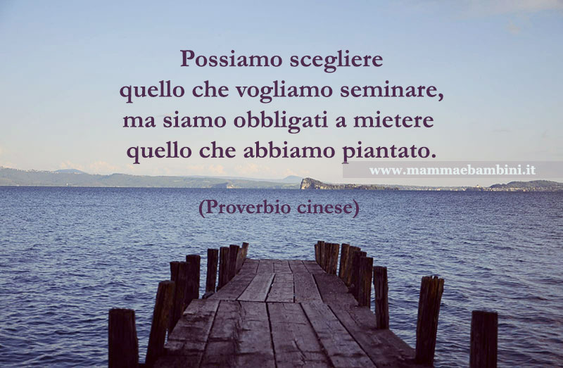 Frase del giorno 06.03 1 frase seminare