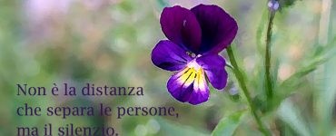 frase distanza