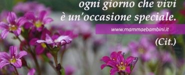 frase occasioni speciali