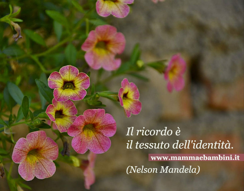 Frase del giorno 17.05 1 frase ricordo
