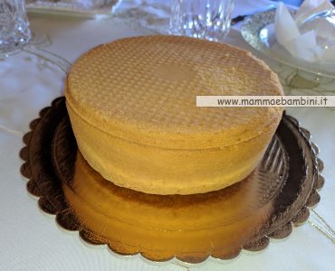 pan di spagna alto 1