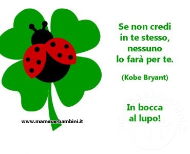 frase credere