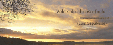 frase volare