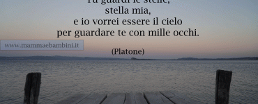 FRASE stelle