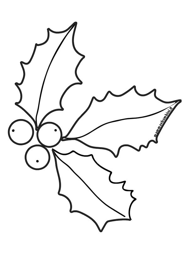 Agrifoglio disegno 1 agrifoglio disegno 01