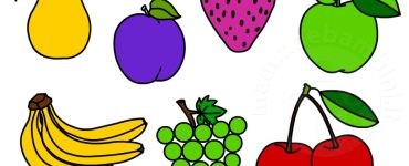 frutta colorata