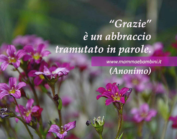 frase grazie