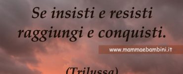 frase insistere