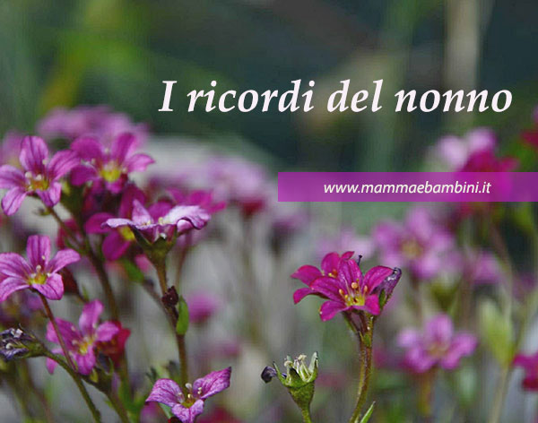 Poesia sui nonni: I ricordi del nonno 2 i ricordi del nonno