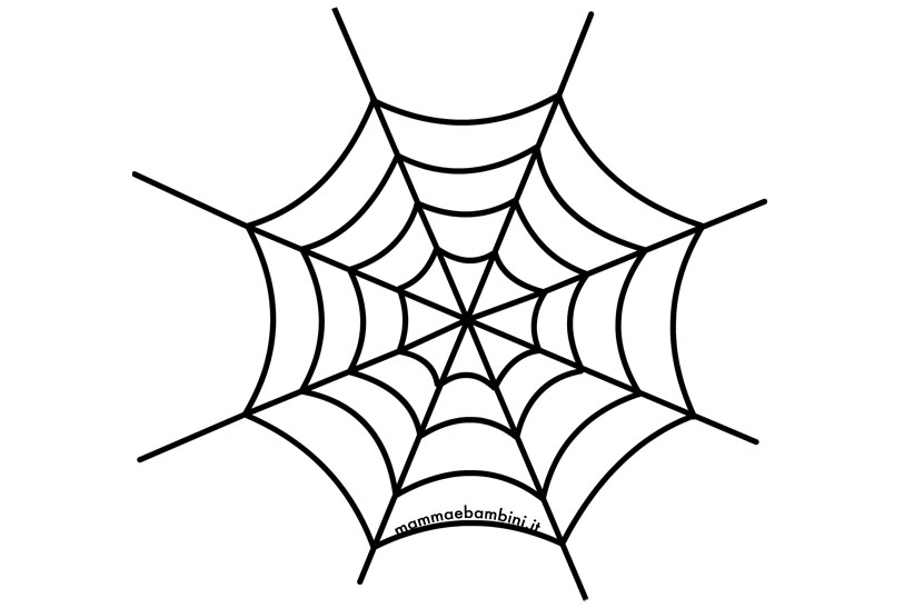 Ragnatela disegno 2 ragnatela