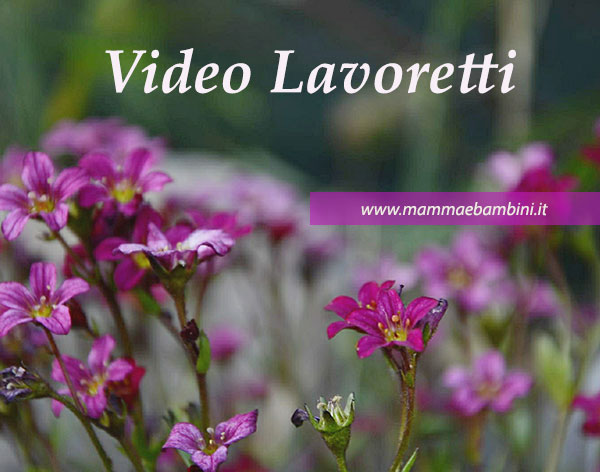Video Lavoretti 2 video lavoretti