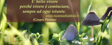 frase gioia