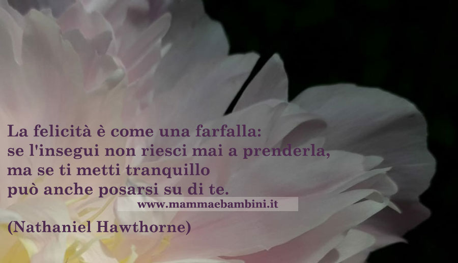 Frase del giorno 20.01 farfalla 1 frase felicita farfalla