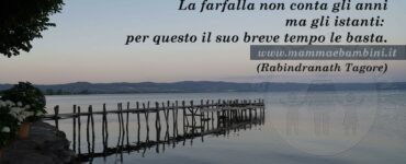 frase vita farfalla