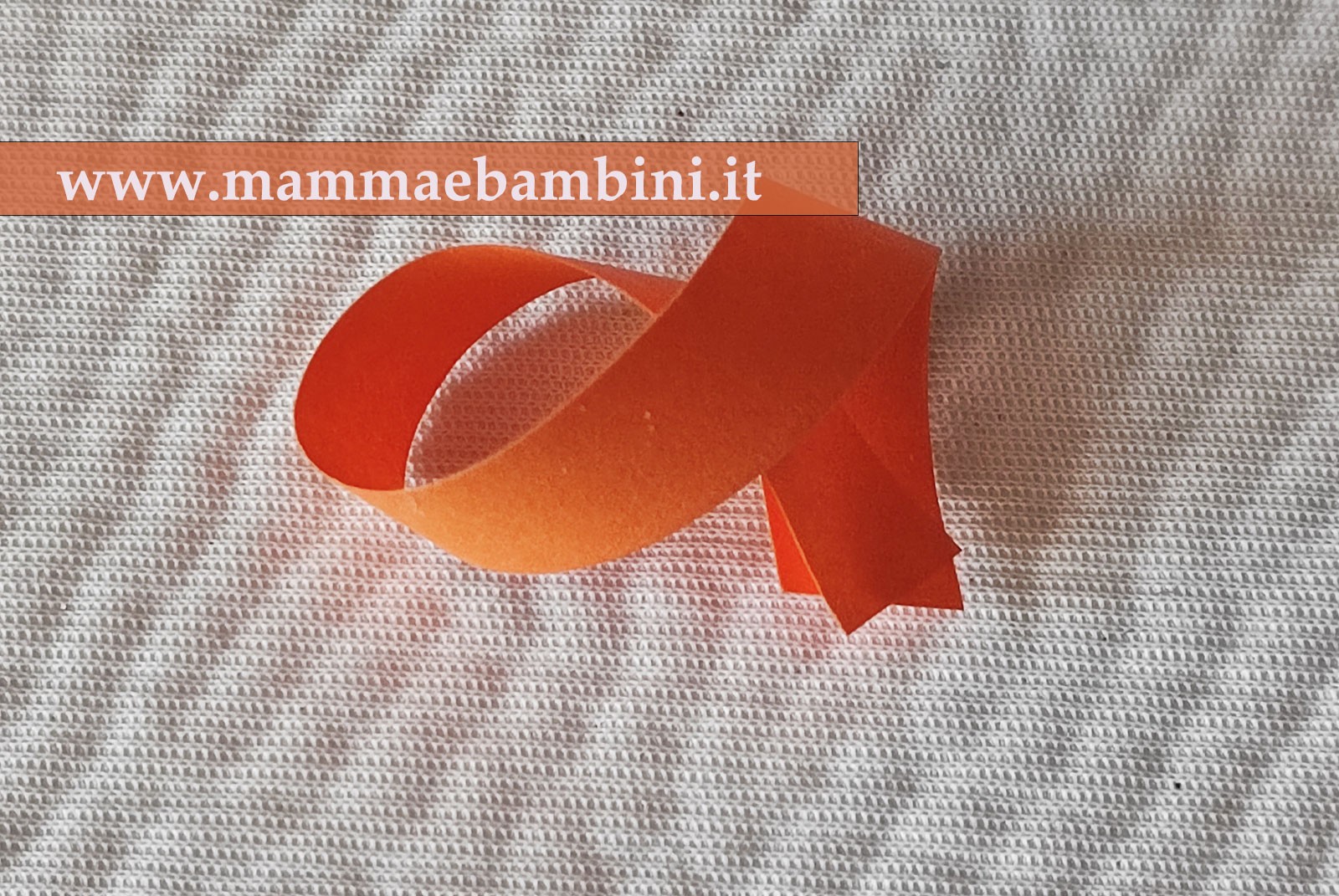 559600_2