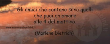 frase amici