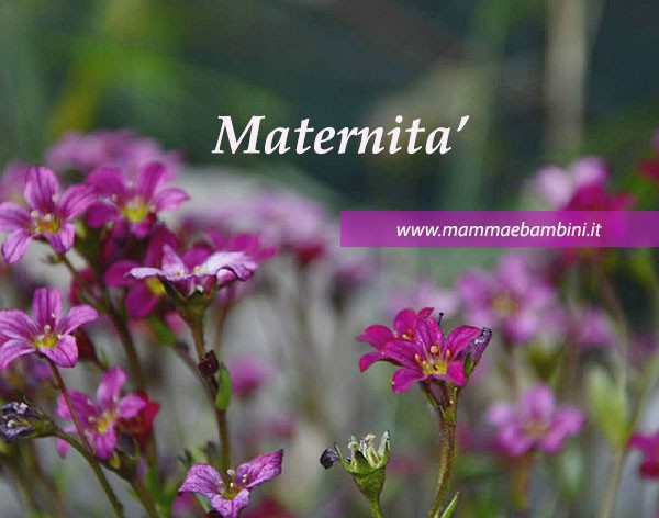 Maternita' di Tagore 1 maternita