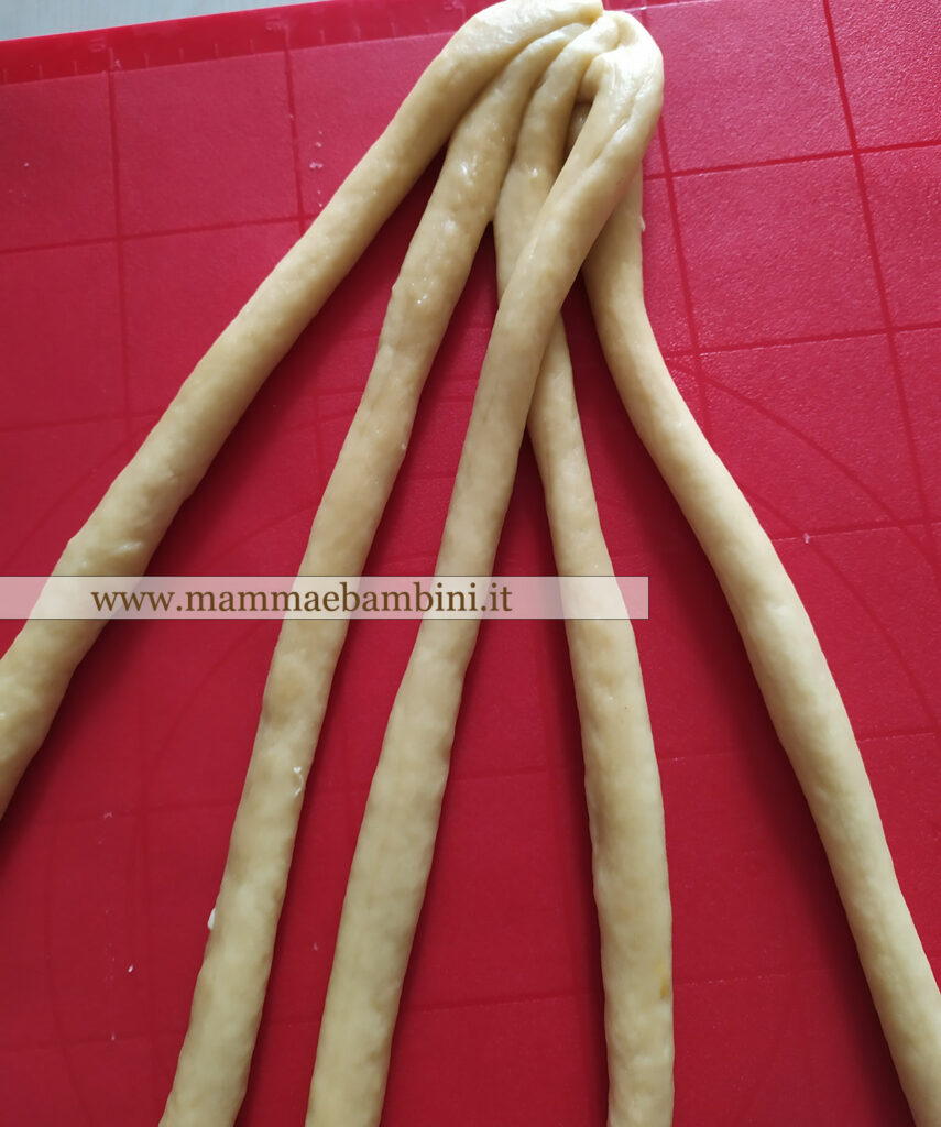 Tutorial treccia a 6 fili 4 biscotti calabresi pasqua 3