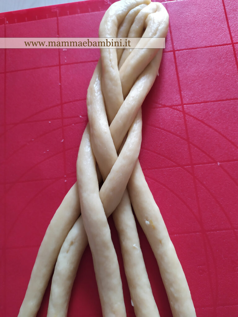 Tutorial treccia a 6 fili 7 biscotti calabresi pasqua 6