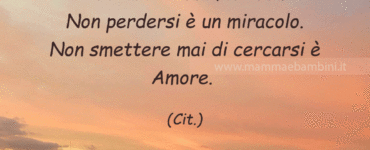 frase amore