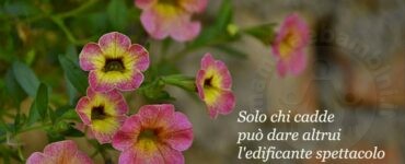 frase rialzarsi