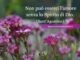 frasi spirito santo