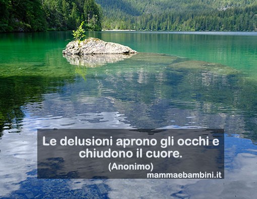 frase delusione