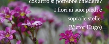 frase fiori