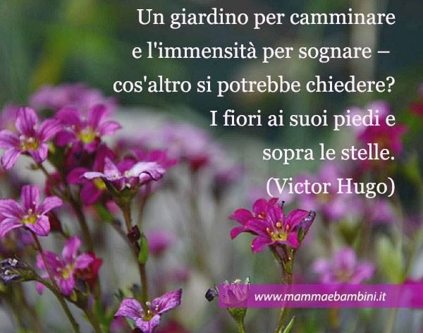 Frase del giorno 14 giugno sui fiori 1 frase fiori