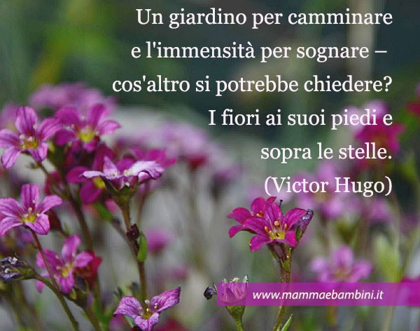 frase fiori