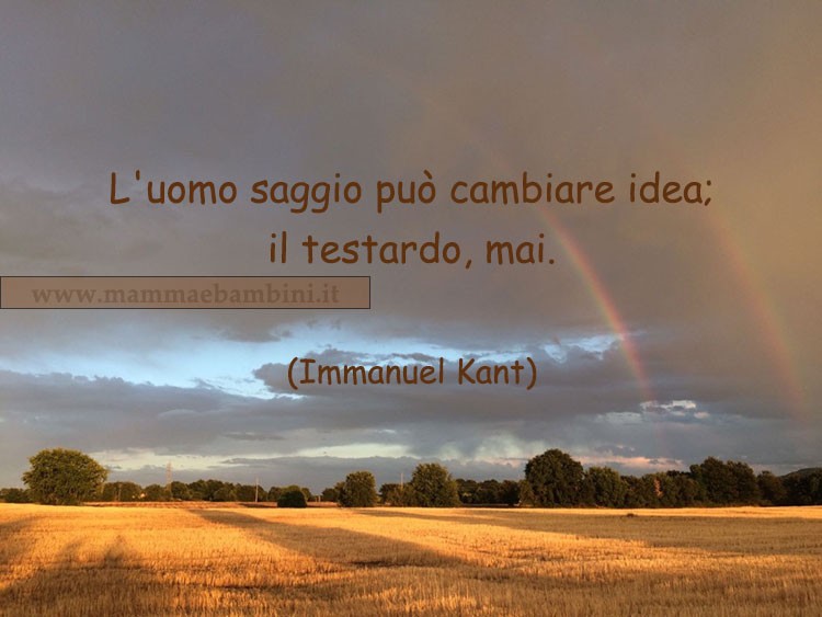 Frase del giorno 24 maggio sull'uomo saggio 1 frase testardo