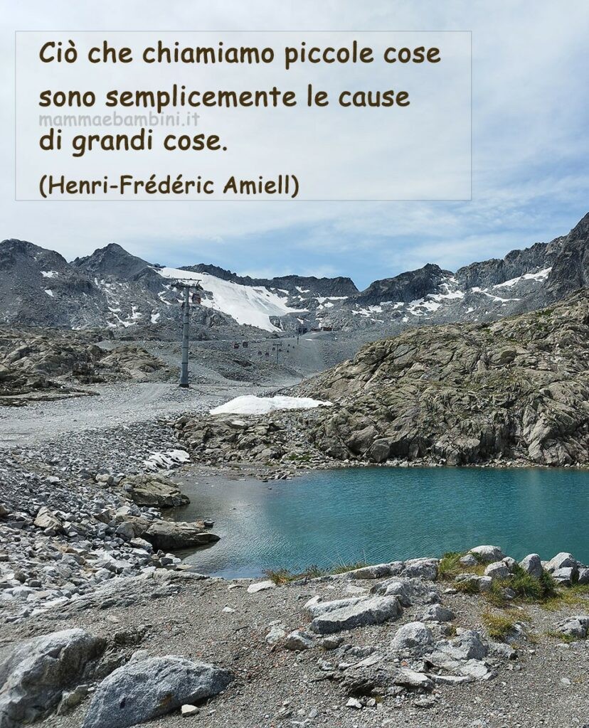 Frase del giorno sulle piccole cose 1 frase piccole cose