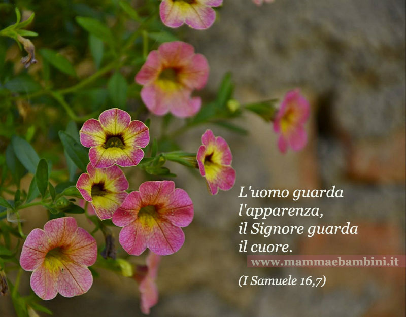 Frase del giorno 23 settembre sulle apparenze 1 frase apparenze 1
