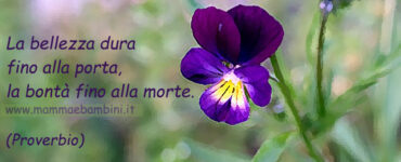 frase bellezza