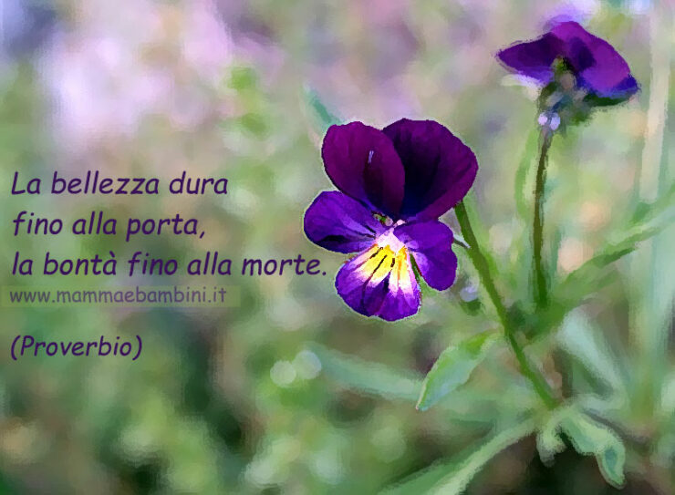 Frase del giorno 24 settembre sulla bellezza - Mamma e Bambini