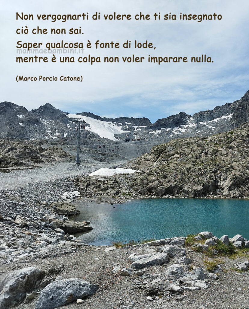 Frase del giorno 15 settembre su imparare 1 frase imparare