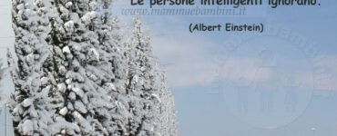 frase perdonare