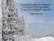 frase perdonare