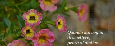 frase smettere di fare