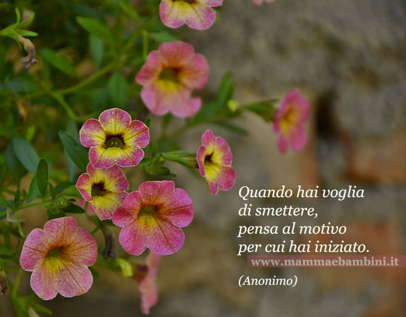 frase smettere di fare
