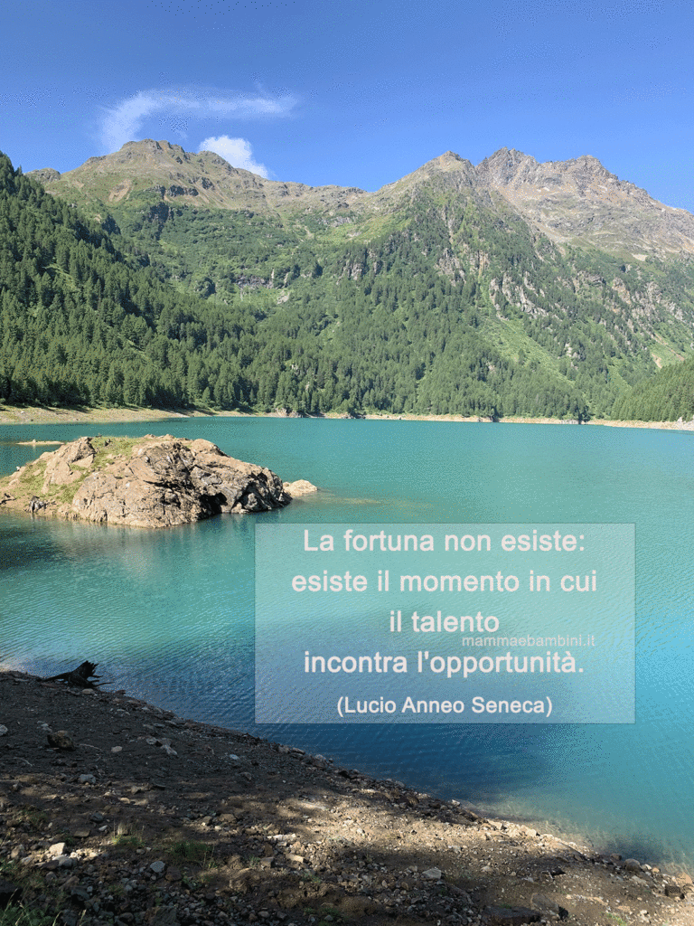 Frase del giorno 6 settembre sul talento 1 frase talento