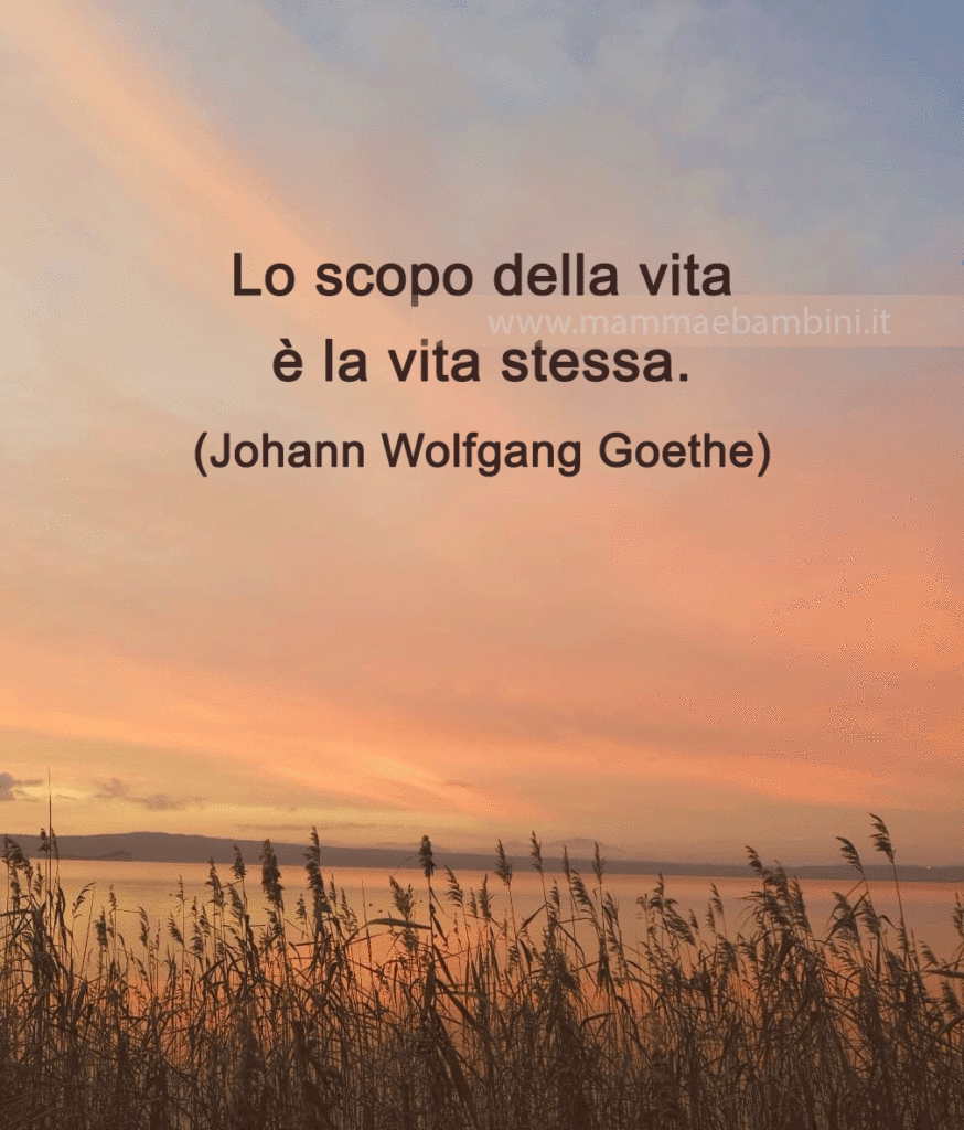 Frase del giorno 22 settembre su vita 1 frase vita