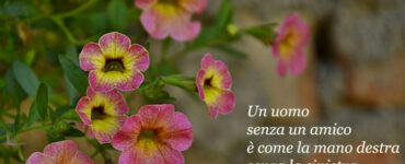 frase amicizia 3