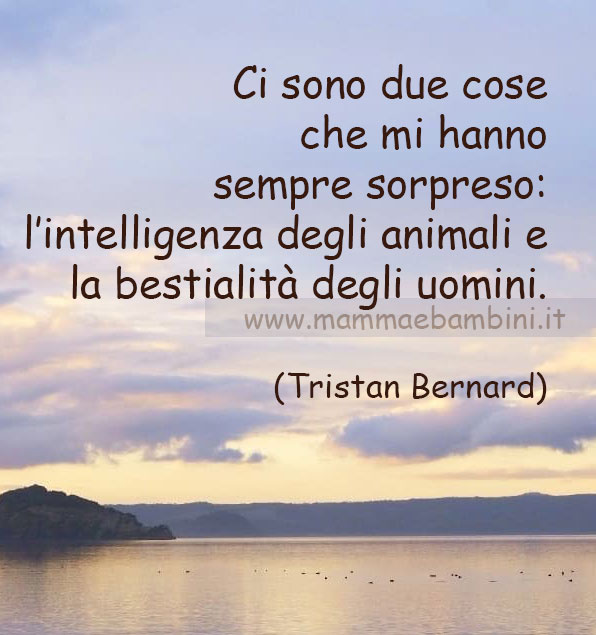 Frase del giorno 18 ottobre sugli animali 1 frase animali